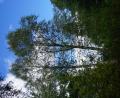 images/Schweden/Schweden 2025/DSC02456.jpg